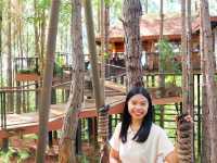 cedar ป่าสนคาเฟ่ @ เขาค้อ