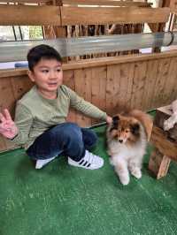 PAW Pet Animal World Nagasaki
