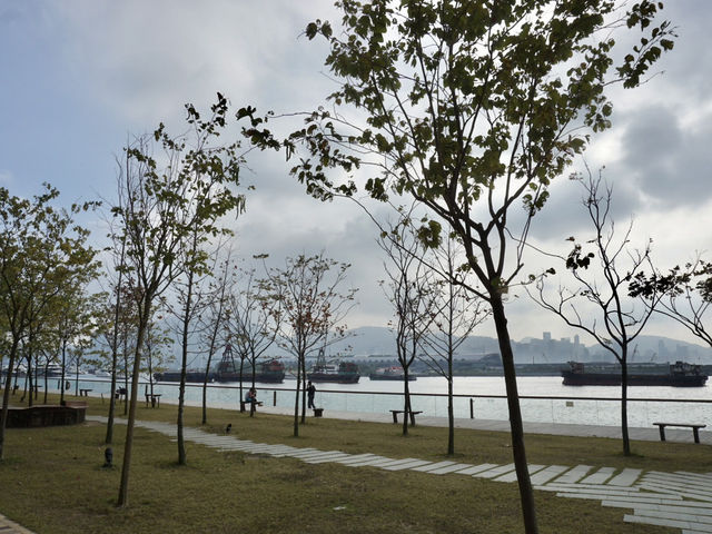 A Peaceful Detour: Experiencing the Beauty of Kwun Tong's Waterfront Park