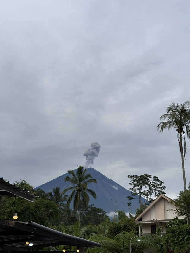 火山之旅的完美落腳點Yoschi’s Hotel Bromo