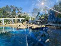 Chessington World of Adventures