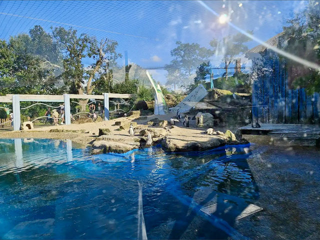 Chessington World of Adventures
