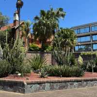 Serene Escape to the Royal Botanic Gardens Sydney