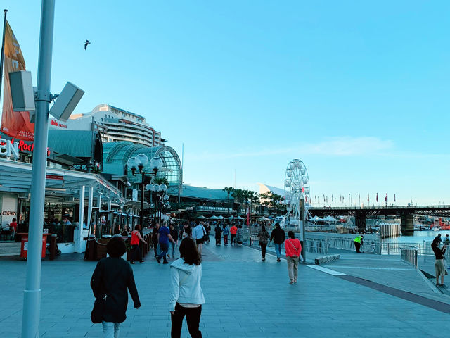 Sydney Darling Harbour: Where the City Comes Alive