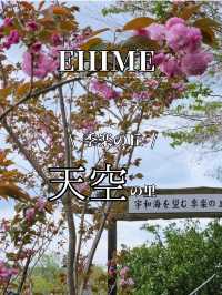 ■季楽の丘