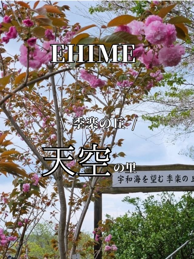 ■季楽の丘