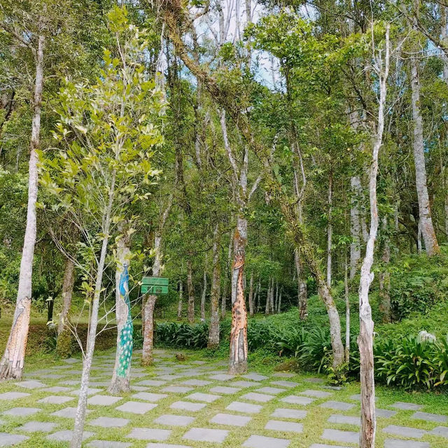 三巴旺公園🌞綠意盎然的“歡樂王國” 🌳🎠