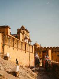 Colors of Agra Fort