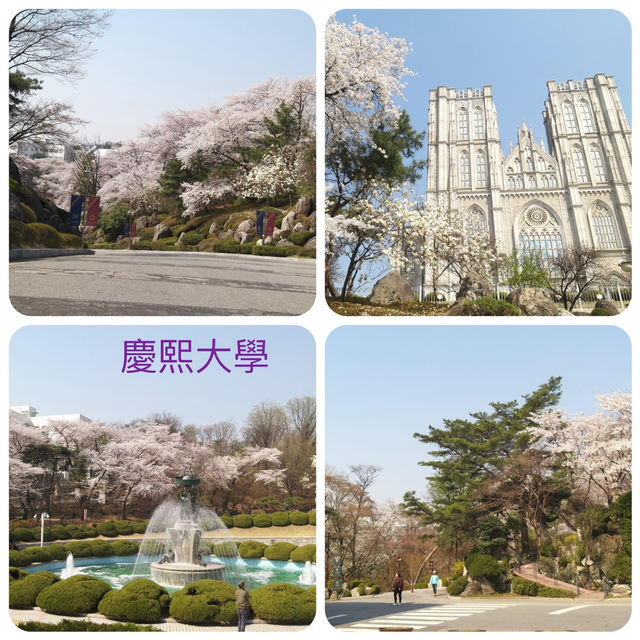 尋找首爾🌸🌸之路