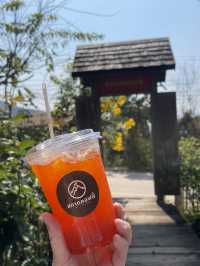 Sakad Coffee ร้านคาเฟ่ประจำ สกาด น่าน