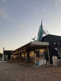 Roadside Staition In Japan - Boso no Eki Tomiura
