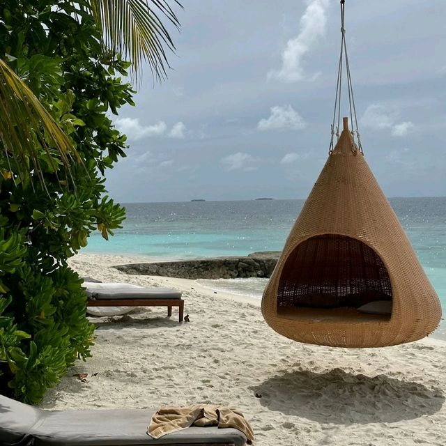 wonderful