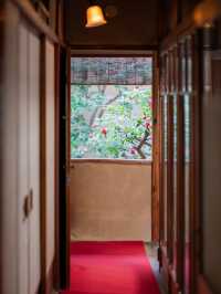 【京都】まるで食べる宝石💎「麓寿庵」の華わらび🏵️