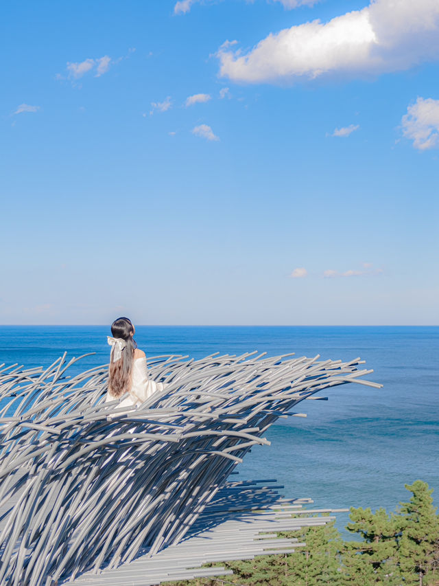 강릉 예쁜 바다를 만날 수 있는 여행지💙