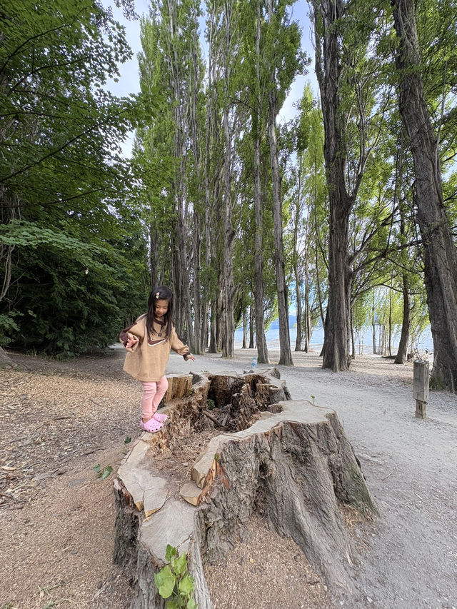 紐西蘭🇳🇿 瓦納卡 來看全世界最孤獨的樹 #thatwanakatree 清晨野餐大推👍