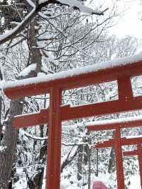 北海道寶藏地｜札幌伏見稻荷神社 ⛩️❄️