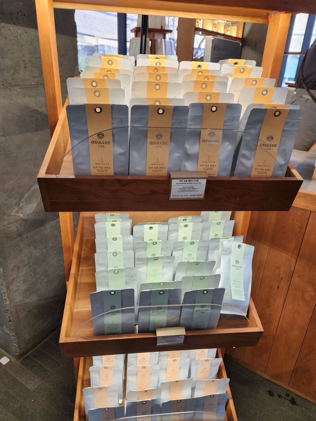 🪅🌳🪄제주 서쪽 가볼만한 곳 오설록 티뮤지엄 
