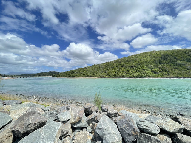 🇦🇺｜ゴールドコーストの隠れた楽園：Tallebudgera Creek