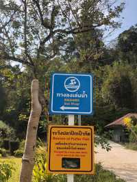 เขาสกเรน ฟอเรส