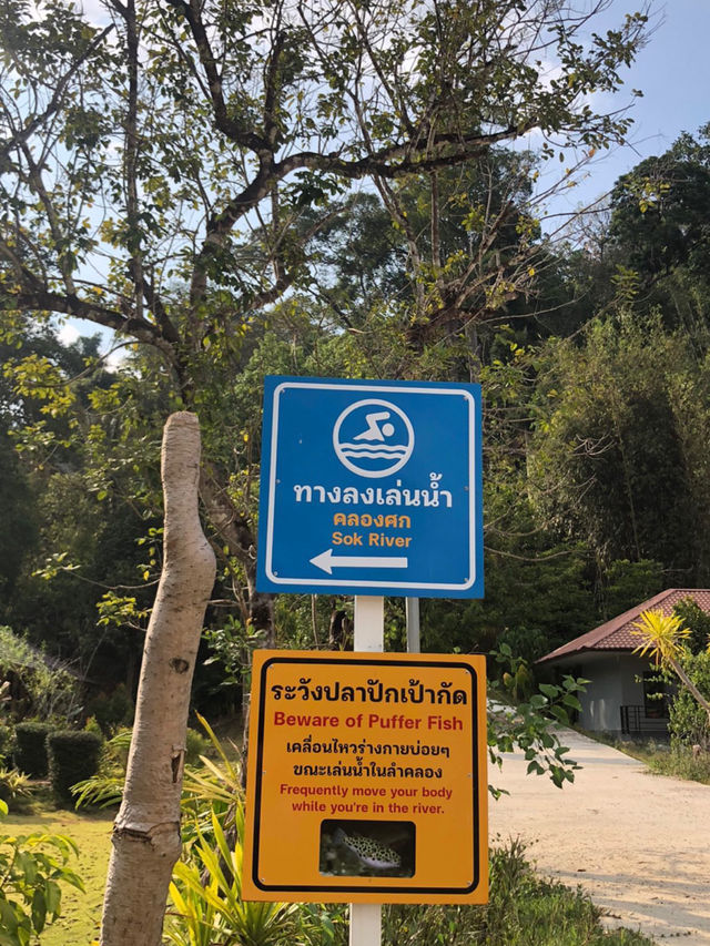 เขาสกเรน ฟอเรส