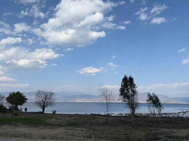去有風的地方 - 大理洱海海西遊玩攻略