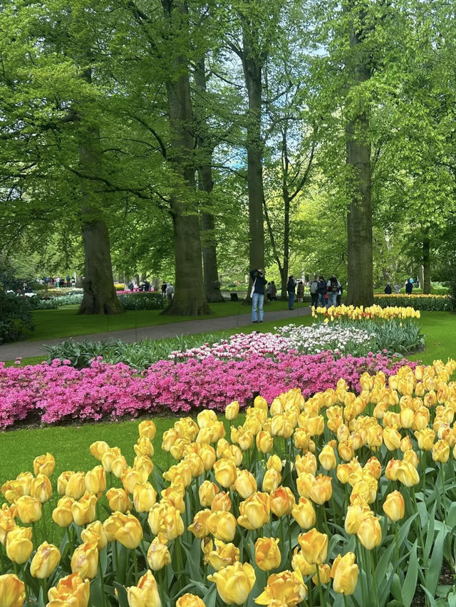 Keukenhof – A Dreamlike Stroll Through a Sea of Tulips