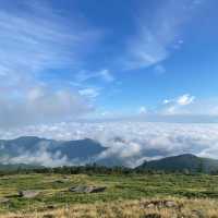 何もかも忘れられる絶景『美ヶ原高原』
