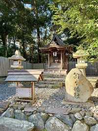 【和歌山県】樹木の神様のもとで木の股くぐり