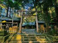 神話の舞台・天岩戸神社で神秘の空気を感じよう⛩✨