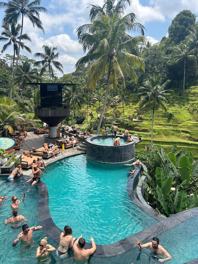 【バリ島】🇮🇩ウブド　テガラランライステラス（プールある方）