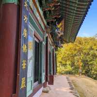 Wolchulsan National Park