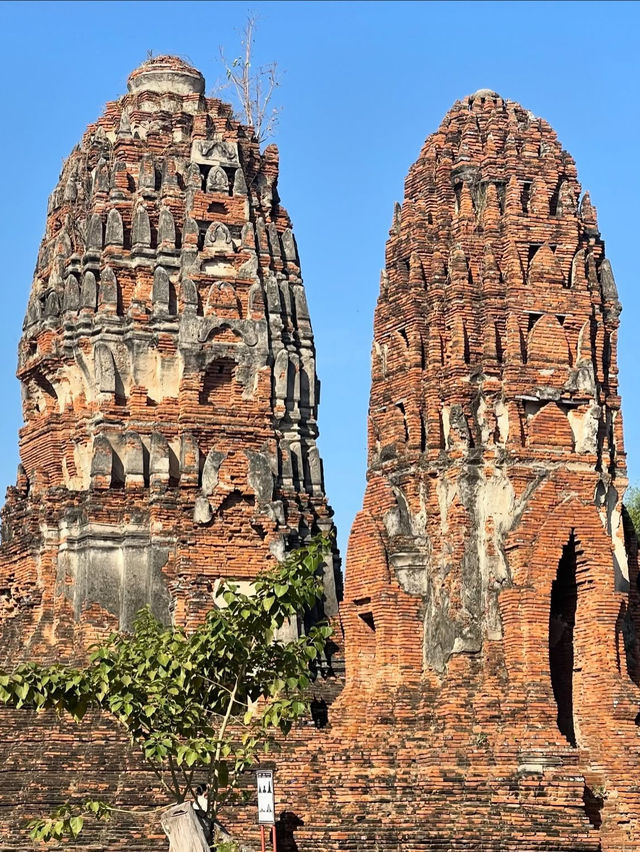 Time Stands Still: The Timeless Beauty of Wat Mahathat