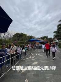 🐼💖【海洋公園雙胞胎熊貓BB全攻略】家姐萌到犯規！細佬招牌「熊貓癱」攻陷全港姨母心💖🐼  