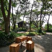 ร้าน คาเฟ่ เดอะกรีนฟอร์เรสท์ 