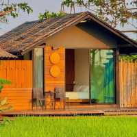ที่พักกลางทุ่งนา #เชียงใหม่ ฟีลโคตรดี 🏠🛁🌾