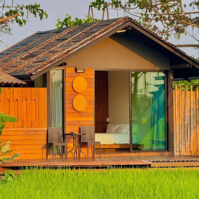 ที่พักกลางทุ่งนา #เชียงใหม่ ฟีลโคตรดี 🏠🛁🌾