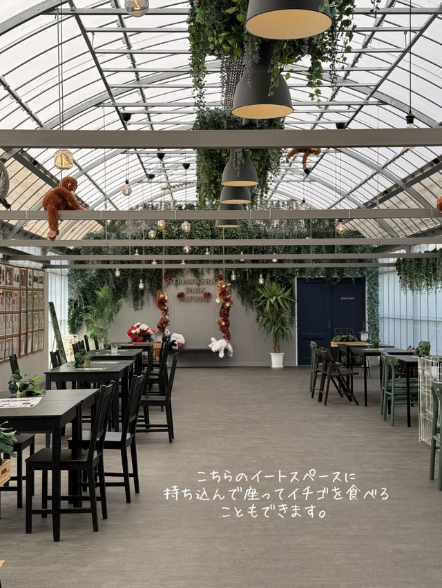 【愛知県豊田市】イチゴ狩りスポット！ストロベリーファームみふね