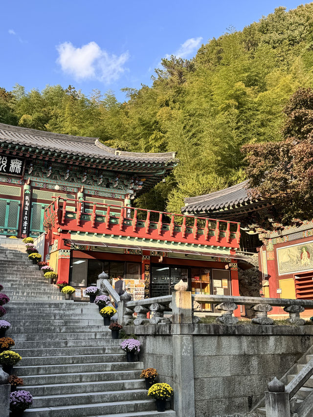 날씨가 따뜻해지는 지금 부산 근교 가볼만한 곳! 