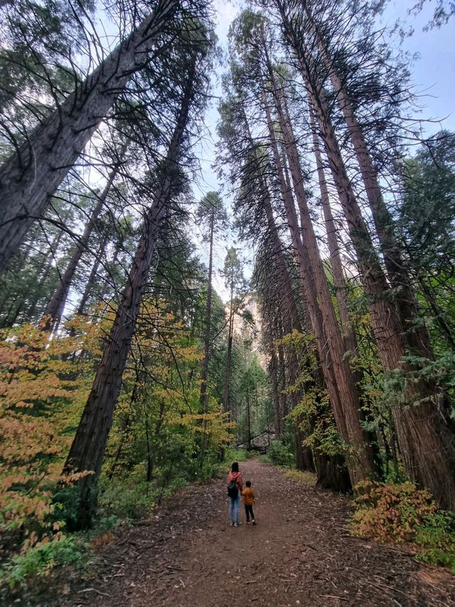 Yosemite: A Year-Round Wonderland, Day and Night!