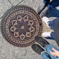 Exploring Stanford University: A Must-Visit Destination