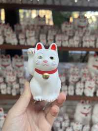 東京豪德寺 