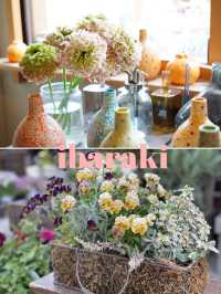 【茨城×オシャレなお花屋さん】天井に吊るされたドライフラワー フラワーアレンジメント教室