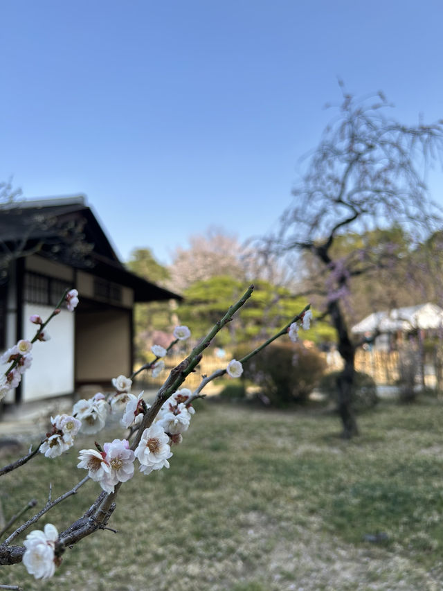 【広島】アクセス抜群！江戸を感じる縮景園