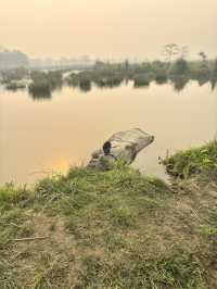 Safari in Chitwan