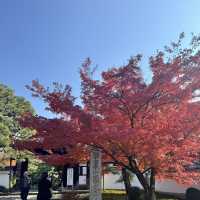 Kyoto không đông đúc - Enkouji Temple
