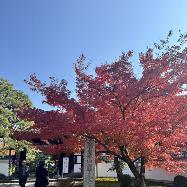 Kyoto không đông đúc - Enkouji Temple