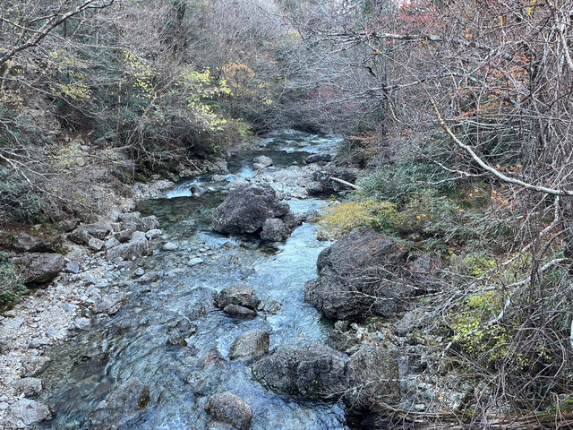 【まるで雲の上の楽園🌄✨「大台ヶ原」で絶景ハイキング！】