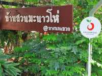 สิริสมปอง ฟาร์ม & คาเฟ่ | คาเฟ่ในสวนมะนาวโห่