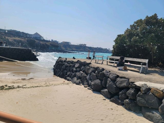 🌊 제주 감성 바다 산책 – 애월 한담공원