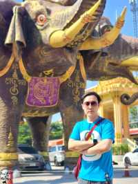 หนึ่งเดียวในไทย🚗 ขับรถลอดท้องช้าง🐘